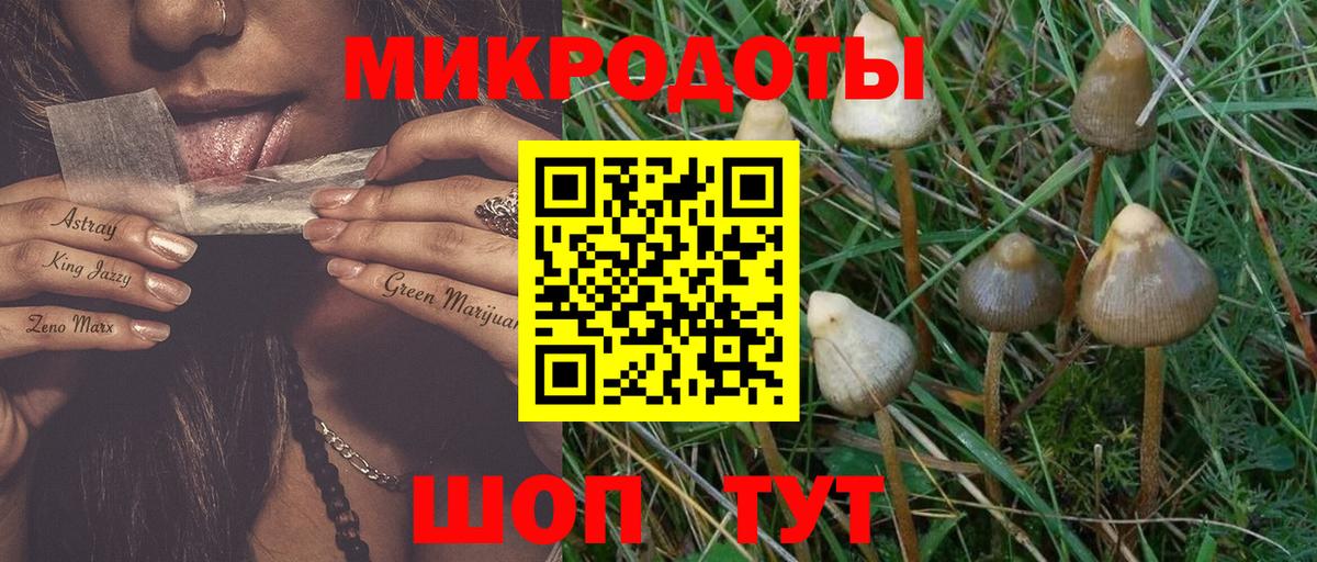 Галлюциногенные грибы GOLDEN TEACHER Апатиты