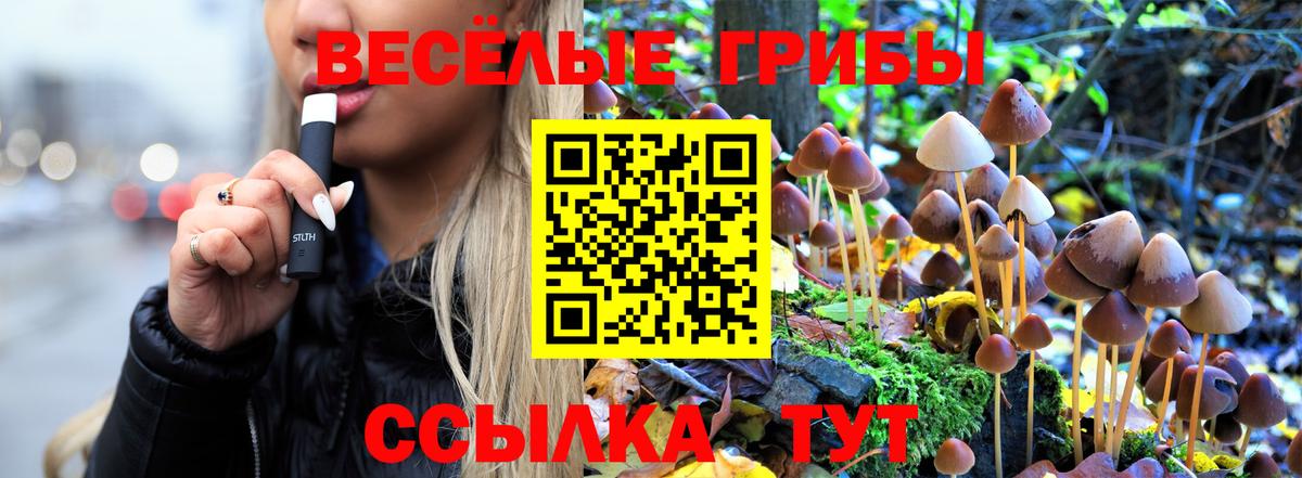 Апатиты  Галлюциногенные грибы MAGIC MUSHROOMS  Вход с VPN 